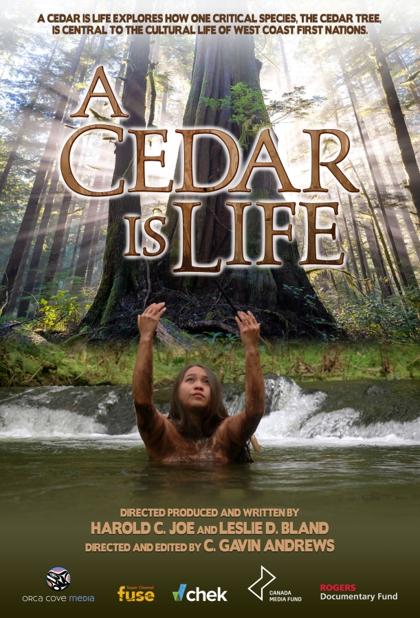 A Cedar Is Life Poster